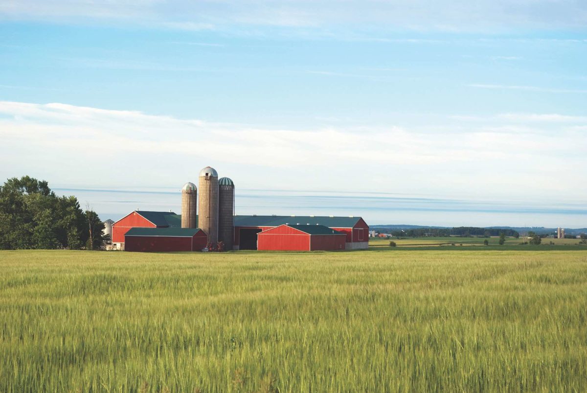 Farms for Sale in Ontario Coldwell Banker Big Creek Realty, Delhi, Ont.