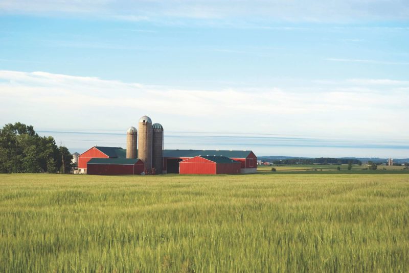 Farms for Sale in Ontario Coldwell Banker Big Creek Realty, Delhi, Ont.