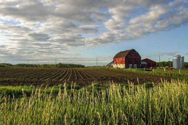 Listings of farms for sale in Delhi Ontario