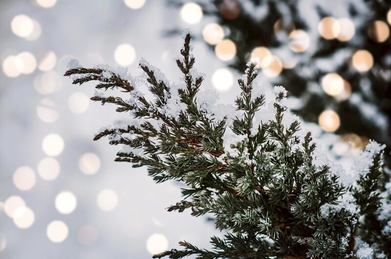 Creating a Cozy Winter Haven in Your Home Coldwell Banker Big Creek Realty, Delhi, Ontario