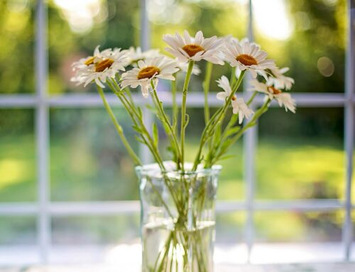 Renter’s Corner: Cozy Apartment Tips