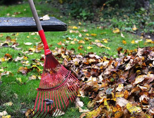 A Practical Pre-Winter Home Inspection Guide